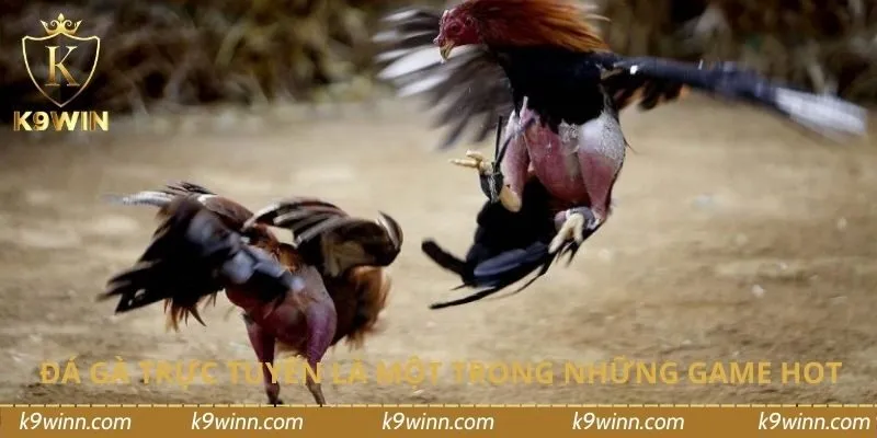 Đá gà trực tuyến là một trong những game hot